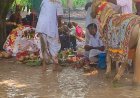 सिहावा अंचल का ऐतिहासिक देव दशहरा पर्व संपन्न, मल्हारी में ठाकुरदेव की पूजा-अर्चना के साथ हुआ समापन
