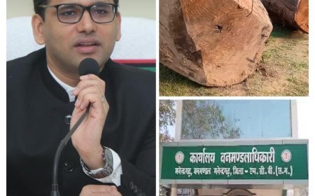 मनेंद्रगढ़ वन मंडल में अवैध कटाई पर डीएफओ की लापरवाही उजागर, विभागीय मिलीभगत के संकेत