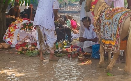 सिहावा अंचल का ऐतिहासिक देव दशहरा पर्व संपन्न, मल्हारी में ठाकुरदेव की पूजा-अर्चना के साथ हुआ समापन