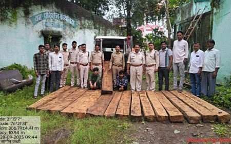 नेपानगर में 16 सागौन सिल्लियों से भरी क्रूज़र जब्त, दो आरोपी गिरफ्तार