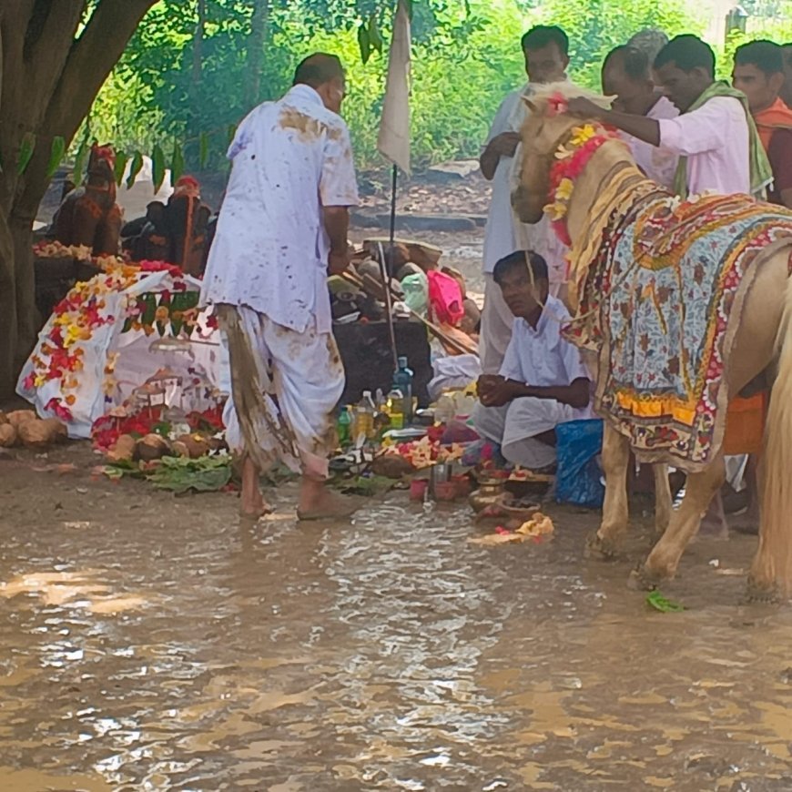 सिहावा अंचल का ऐतिहासिक देव दशहरा पर्व संपन्न, मल्हारी में ठाकुरदेव की पूजा-अर्चना के साथ हुआ समापन