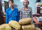 “ऑपरेशन निश्चय”: रायपुर पुलिस ने 11.756 किलो गांजा सहित 2 अंतर्राज्यीय आरोपी गिरफ्तार