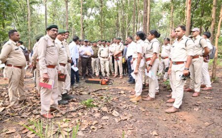 कवर्धा वनमंडल में सीमांकन, चिन्हांकन, फेलिंग एवं लॉगिंग पर वृत्त स्तरीय कार्यशाला संपन्न — 250 प्रतिभागियों को तकनीकी प्रशिक्षण प्रदान