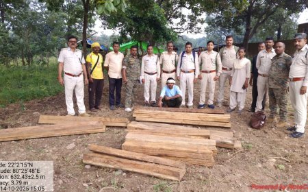 बालाघाट में अवैध बीजा साल की कटाई के चार आरोपी वन विभाग ने दबोचे, 143 नग लकड़ी बरामद