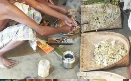 गांव व्यवस्था का सांस्कृतिक उत्सव, सुरोती एवं खिचड़ी पर्व में राऊतों की गौरवशाली भूमिका