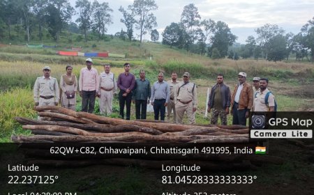 बोड़ला–चिल्फी–धवईपानी मार्ग पर वन विभाग की कार्रवाई: तीन ढाबों से अवैध लकड़ी जप्त, तीन प्रकरण दर्ज
