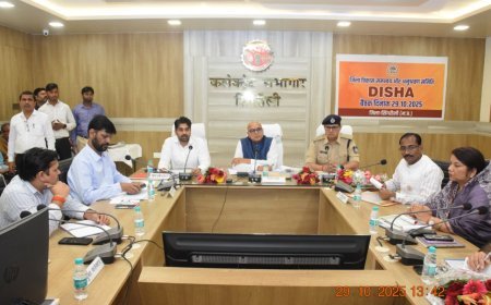 सांसद डॉ. राजेश मिश्रा की अध्यक्षता में सिंगरौली में जिला विकास समन्वय समिति की बैठक, विकास कार्यों की गुणवत्ता पर जोर