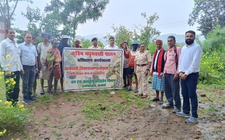 बोड़ला विकासखंड में कृत्रिम मधुमक्खी पालन पर एक दिवसीय प्रशिक्षण कार्यक्रम संपन्न