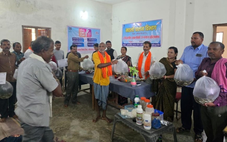 कोंडागांव में 30 मत्स्य कृषकों को मछली पालन तकनीकी उन्नयन प्रशिक्षण, झींगा बीज का भी वितरण