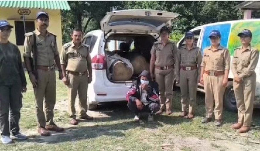 रेलवे बोर्ड लगी कार से सागौन तस्करी पकड़ी गई, आरोपी आकाश सिंह गिरफ्तार, दो गिल्टे लकड़ी बरामद