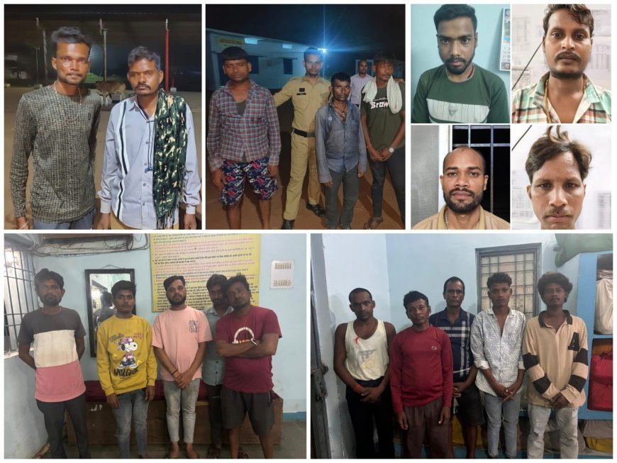 धमतरी पुलिस का जुआ के खिलाफ कड़ा अभियान, एक दिन में 35 जुआरी गिरफ्तार और 2.93 लाख रुपए से अधिक की संपत्ति जब्त