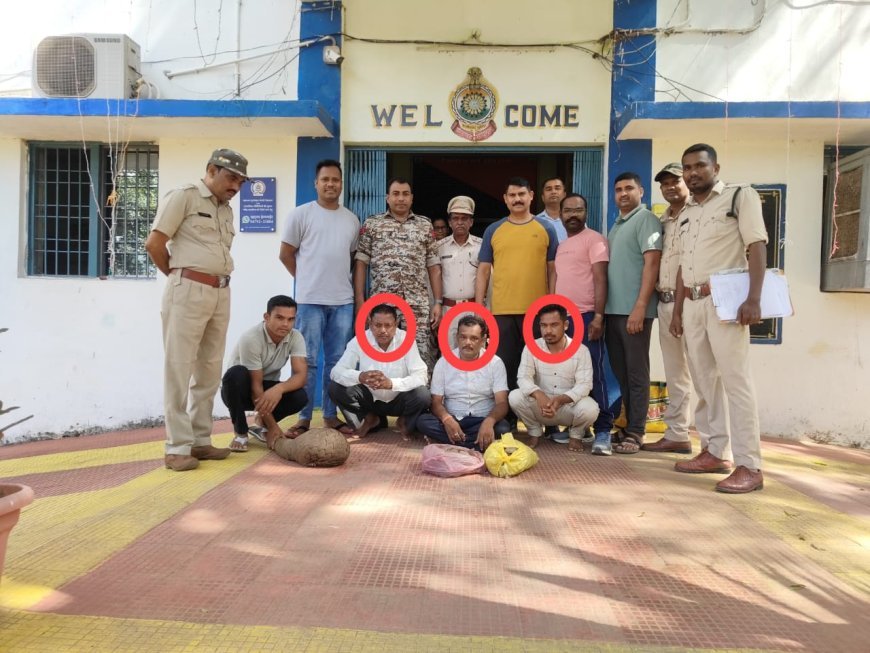 गरियाबंद पुलिस की बड़ी कार्यवाही: अंतर्राज्यीय वन्य जीव तस्करों का पर्दाफाश, सालखपरी और छाल सहित तीन गिरफ्तार