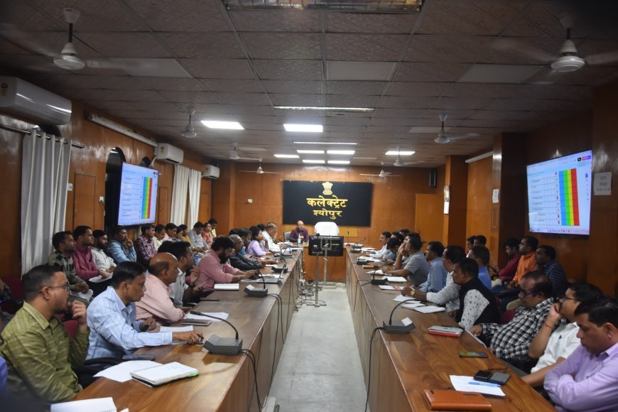 फसल सर्वे पर अनाधिकृत बयान देने पर कृषि विकास अधिकारी निलंबित — कलेक्टर के निर्देश पर कार्रवाई
