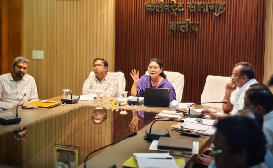 कलेक्टर श्रीमती दिव्या उमेश मिश्रा ने राज्योत्सव और धान खरीदी तैयारियों की समीक्षा कर दिए आवश्यक निर्देश