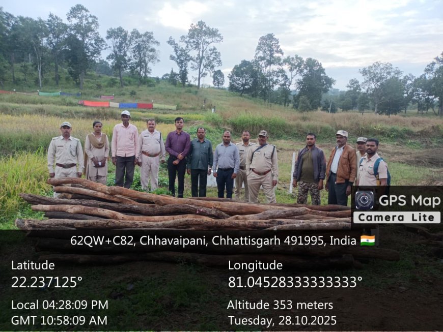 बोड़ला–चिल्फी–धवईपानी मार्ग पर वन विभाग की कार्रवाई: तीन ढाबों से अवैध लकड़ी जप्त, तीन प्रकरण दर्ज
