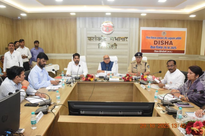 सांसद डॉ. राजेश मिश्रा की अध्यक्षता में सिंगरौली में जिला विकास समन्वय समिति की बैठक, विकास कार्यों की गुणवत्ता पर जोर