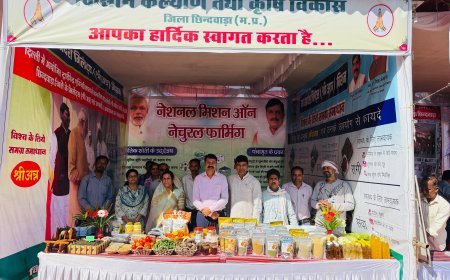 मध्यप्रदेश स्थापना दिवस पर छिंदवाड़ा में भव्य आयोजन, प्राकृतिक खेती को मिली नई पहचान
