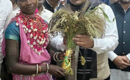 उपमुख्यमंत्री विजय शर्मा ने किया मिलेट्स स्टॉल का अवलोकन, भारत की मिलेट्स क्वीन लहरी बाई बैगा का किया सम्मान