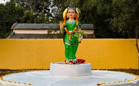 मुख्य वन संरक्षक दुर्ग ने बालोद वनमंडल में किया रजत जयंती उपवन का शुभारंभ