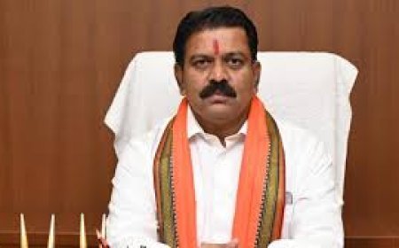 डिप्टी सीएम विजय शर्मा ने एनआईए छापों का किया स्वागत, कहा– कार्रवाई स्पष्ट और आवश्यक, बस्तर में शांति स्थापित होगी