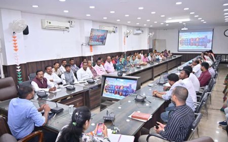 ग्रामों के सर्वांगीण विकास पर कलेक्टर अबिनाश मिश्रा का जोर, सरपंचों से की सामूहिक विकास की अपील