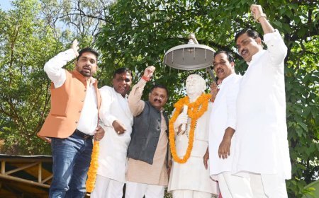 सरदार वल्लभभाई पटेल के प्रयासों से भारत एकजुट और सशक्त रूप में स्थापित हुआ : सांसद संतोष पाण्डेय