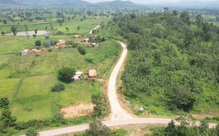 प्रधानमंत्री जनमन योजना से सुदूर वनांचल ग्राम सरई की बदली तस्वीर, सड़क से जुड़ने पर गांव में लौटी रौनक