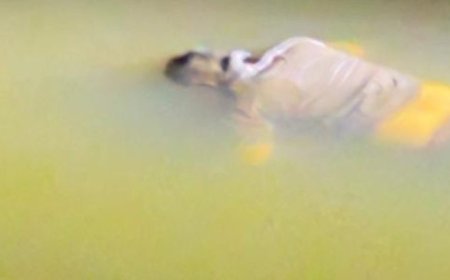 हाईकोर्ट अधिवक्ता राहुल अग्रवाल की संदिग्ध मौत पर मचा बवाल, वकीलों ने की एसआईटी जांच की मांग