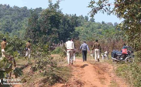 जबलपुर में फिर तेंदुए की मौत से मचा हड़कंप, 20 दिन में दूसरी घटना ने वन विभाग की सुरक्षा पर उठाए सवाल