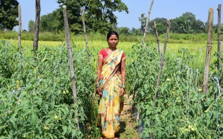 बिहान योजना से आत्मनिर्भरता की मिसाल बनीं शकुन्तला शार्दुल, सब्जी की खेती से बदल दी जिंदगी