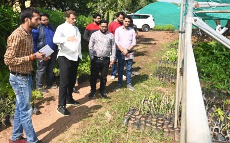 कलेक्टर गोपाल वर्मा ने खूंटू नर्सरी का किया निरीक्षण, दी सुदृढ़ और आधुनिक बनाने के निर्देश