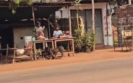 जालबांधा मुख्य सड़क पर अव्यवस्था गहरी, मछली–मुर्गा दुकानें बनीं ग्रामीणों की बड़ी परेशानी