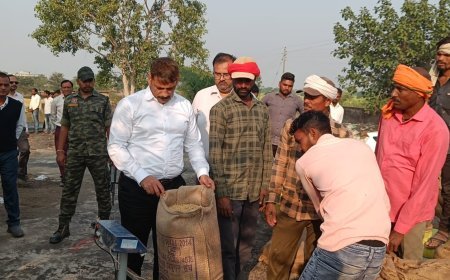 कलेक्टर गोपाल वर्मा ने कोठार धान खरीदी केंद्र का निरीक्षण, किसानों से ली जमीनी जानकारी
