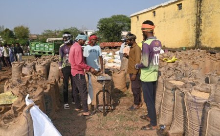 कबीरधाम जिले में धान खरीदी और भुगतान में तेजी, किसानों को 06 करोड़ रुपये जारी