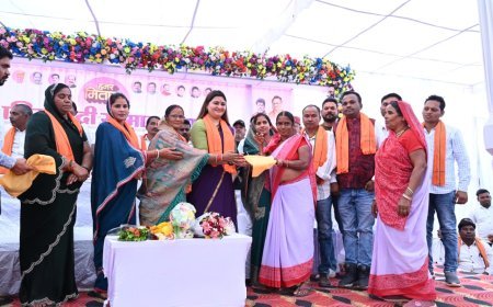 मितानिन दिवस पर पंडरिया विधायक भावना बोहरा का सम्मान समारोह, बोलीं– मितानिन बहनें स्वस्थ और समृद्ध समाज की आधारशिला