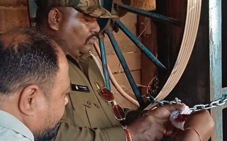 वन विभाग की कार्रवाई—कोण्डागांव की दो सॉ मिलें सील