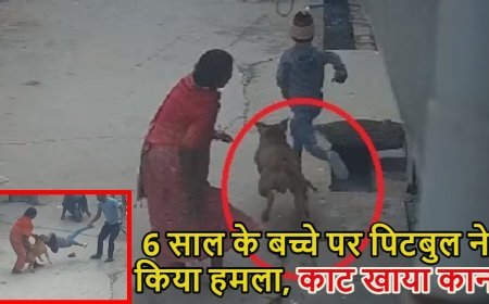 दिल्ली में पिटबुल का खौफ: 6 साल के बच्चे पर हमला, कान काटकर अलग किया, मालिक गिरफ्तार