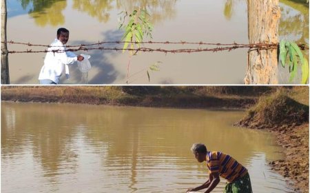 बड़ेबंजोड़ा में मनरेगा डबरी बनी आजीविका का आधार, हितग्राहियों को मिला झींगा बीज