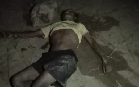 सूरजपुर में हाथियों का हमला, खलिहान में सो रहे दंपति की कुचलकर मौत