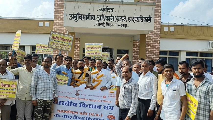 मक्का खरीदी को लेकर भारतीय किसान संघ का ज्ञापन, समर्थन मूल्य पर खरीद या भावांतर योजना में शामिल करने की मांग