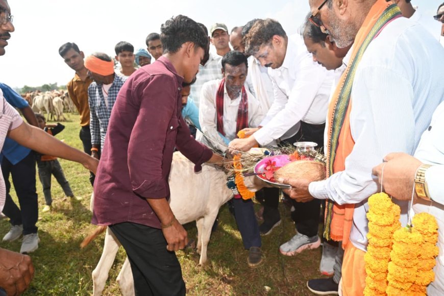 भागूटोला में घुमंतू पशुओं की सेवा और संरक्षण की मिसाल, कलेक्टर गोपाल वर्मा ने बताया अनुकरणीय प्रयास