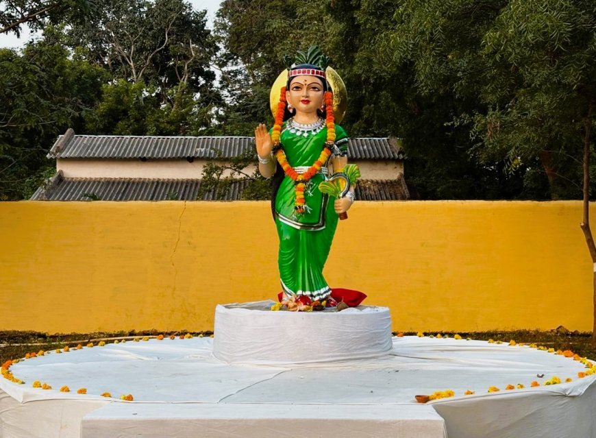 मुख्य वन संरक्षक दुर्ग ने बालोद वनमंडल में किया रजत जयंती उपवन का शुभारंभ