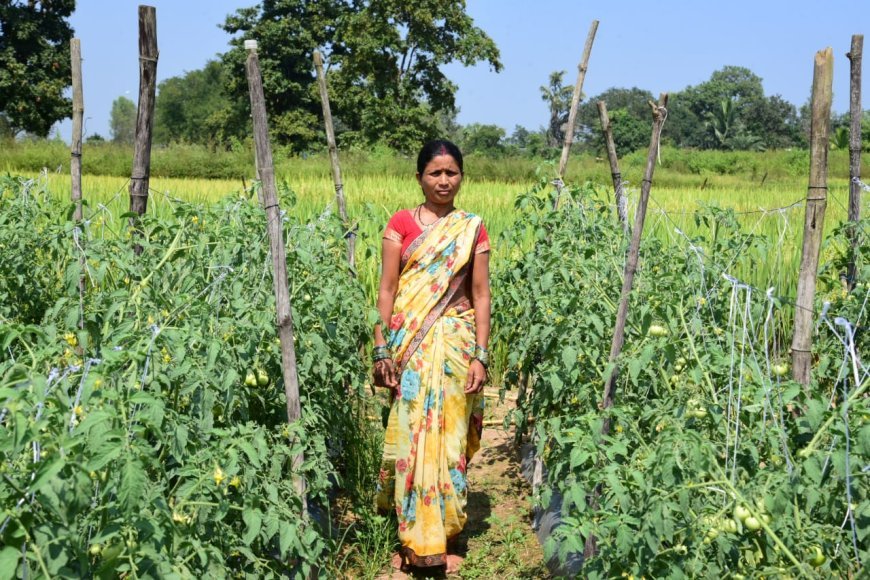 बिहान योजना से आत्मनिर्भरता की मिसाल बनीं शकुन्तला शार्दुल, सब्जी की खेती से बदल दी जिंदगी