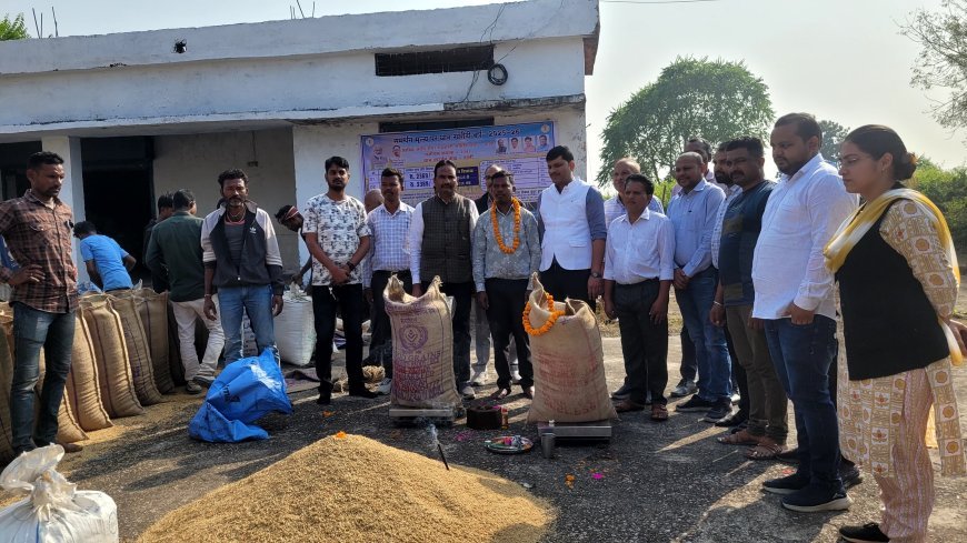 पाली में पूजा-अर्चना के साथ धान उपार्जन कार्य का शुभारंभ, किसानों में खुशी की लहर