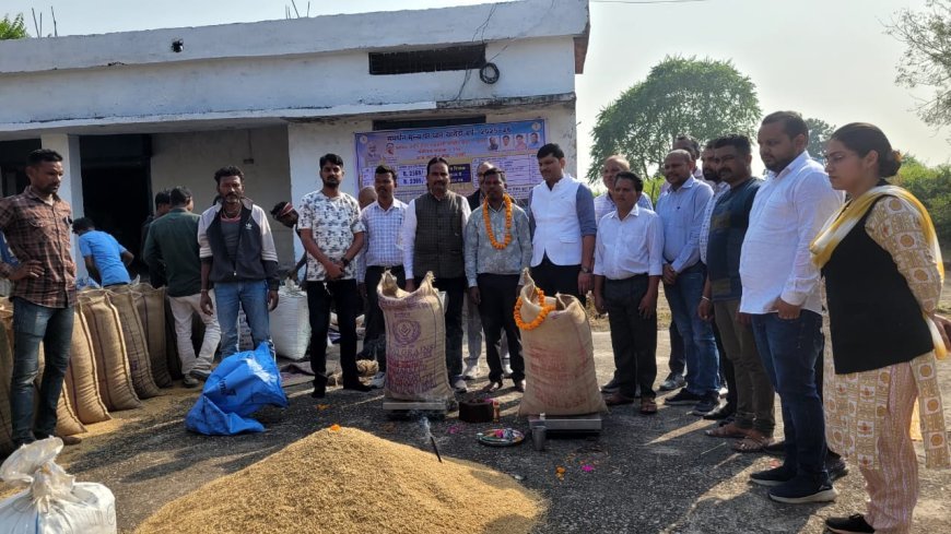 पाली में धान उपार्जन कार्य का शुभारंभ, किसानों में खुशी की लहर