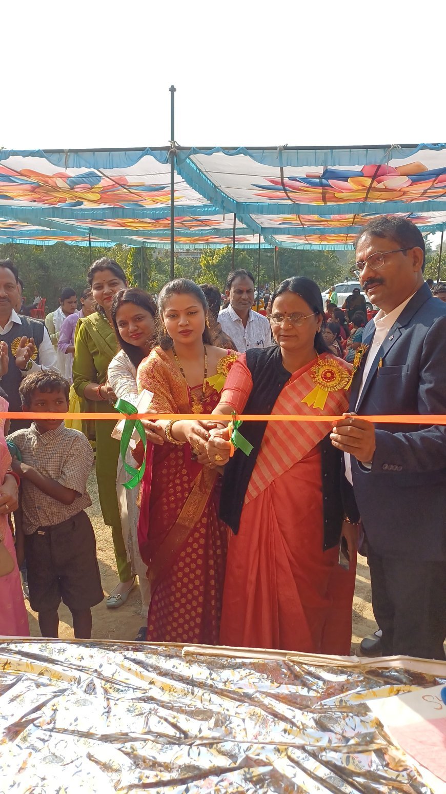 कोरबा में बाल मेला एवं वार्षिक उत्सव का शुभारंभ, महापौर संजू देवी ने बच्चों का बढ़ाया उत्साह