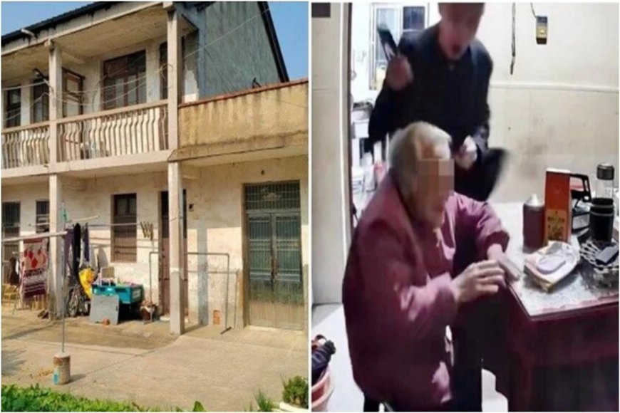 92 साल की मां ने बेटे की पिटाई के बाद भी पेंशन से करवाई बेल, बनी ममता की मिसाल