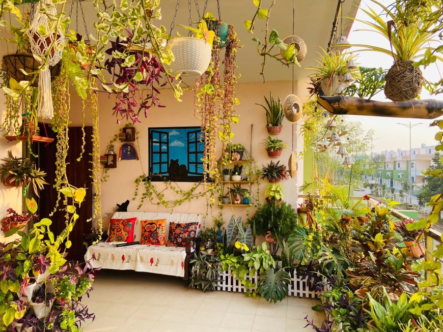 निःशुल्क सर्वश्रेष्ठ गृह उद्यान प्रतियोगिता: 5 दिसंबर तक प्रविष्टियाँ आमंत्रित