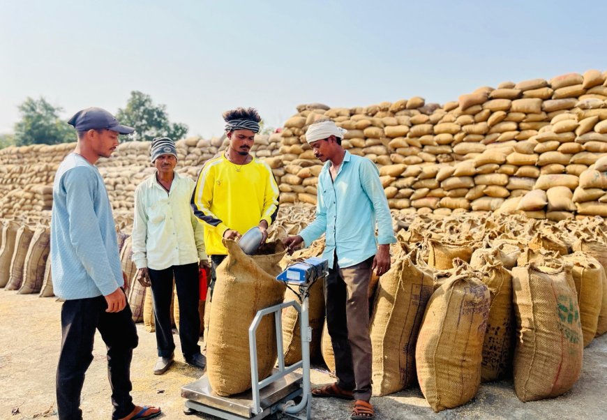 धान खरीदी पंजीयन और रकबा संशोधन की अंतिम तिथि 25 नवंबर तक बढ़ी