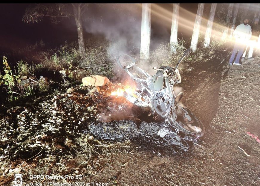 अमरकंटक मार्ग पर भीषण सड़क हादसा, बाइक सवार दो युवकों की मौके पर मौत